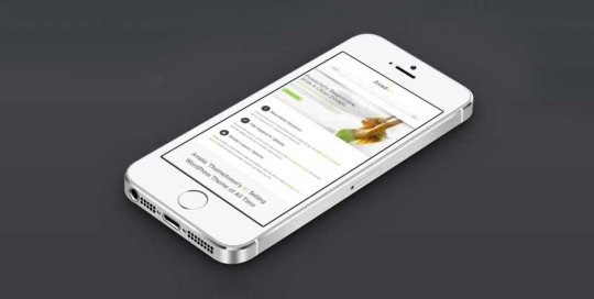 White smartphone displaying a messaging app with green and white interface.